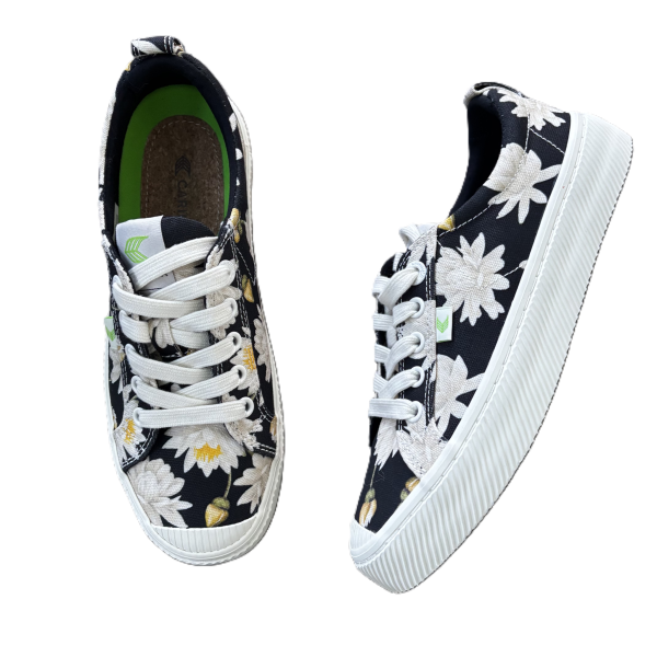 Shoes Sneakers By Cariuma In Floral Print, Size: 7 Online now