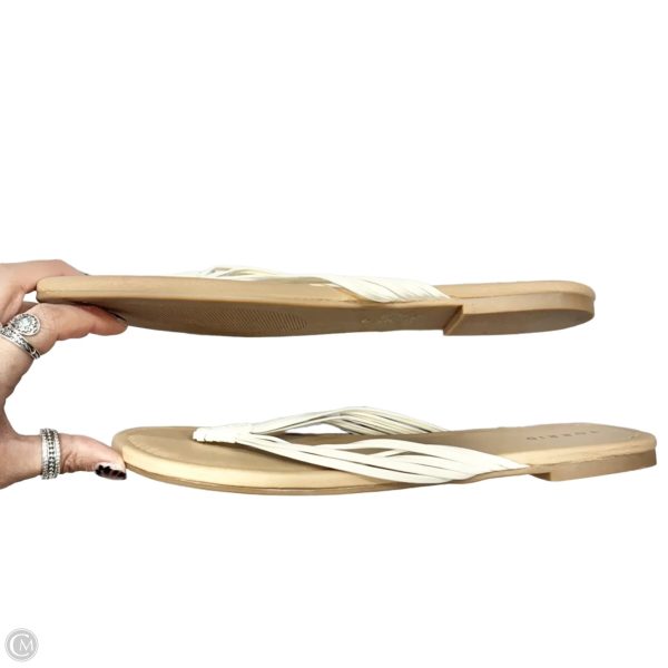 Sandals Flip Flops By Torrid In White, Size: 12 on Sale - Image 2